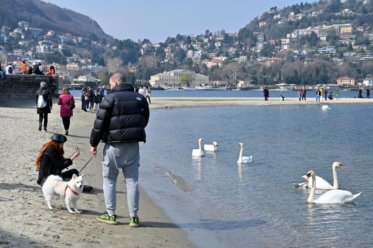 LakesweetlakeCôme Esterno foto